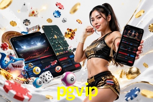Flash Promotion pgvip