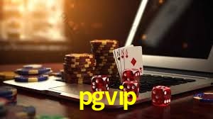 Interface Premium pgvip