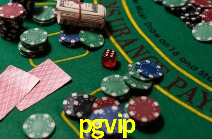 pgvip App Interface