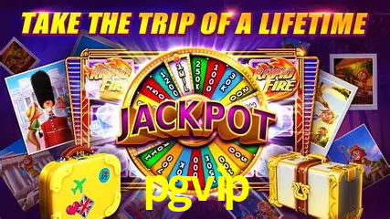 Descubra o Mundo do Cassino Online com pgvip